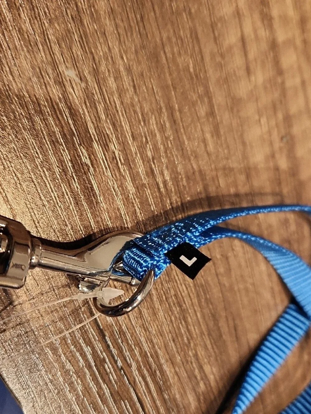 PetSafe Blue Cat Bungee Leash and Adjustable Harness Set Sz L